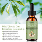 LGRAMER Organic Rosemary Essential Oil thumbnail 1